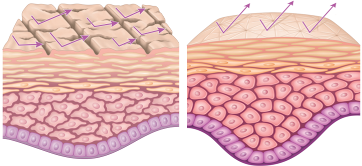 mesotherapy-results Beauty Naturale ,Non-surgical treatments, Anti-wrinkle, Botox,
